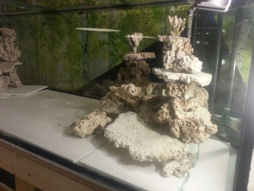 20130424_230146.jpg