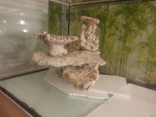 20130424_230200.jpg
