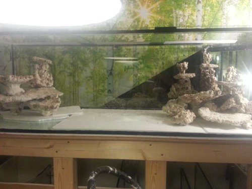 20130424_230215.jpg