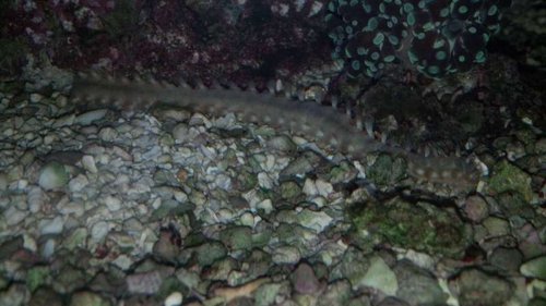 2013-04-27_09-19-18_962.jpg