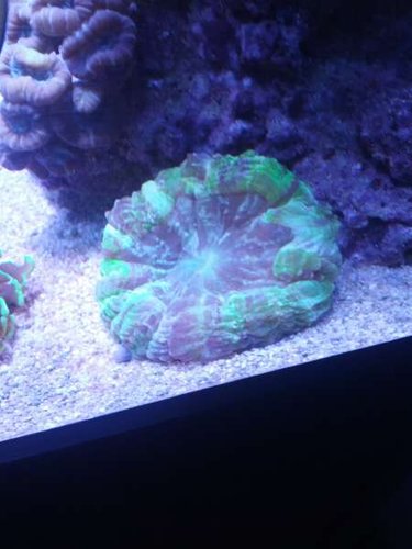 IMG_20130427_202707.jpg
