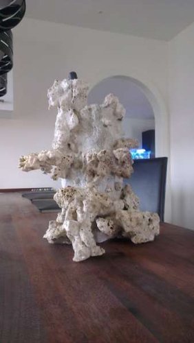 IMAG0350.jpg