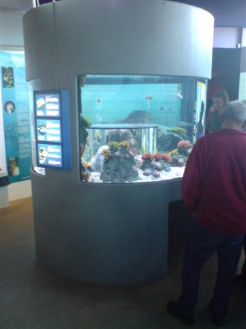 DSC00005 (Small).JPG