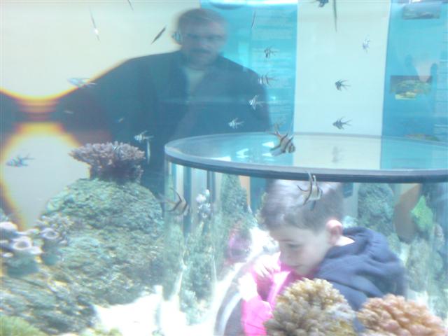 DSC00006 (Small).JPG