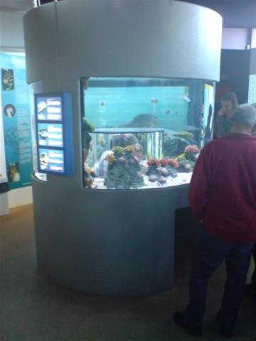 DSC00008 (Small).JPG