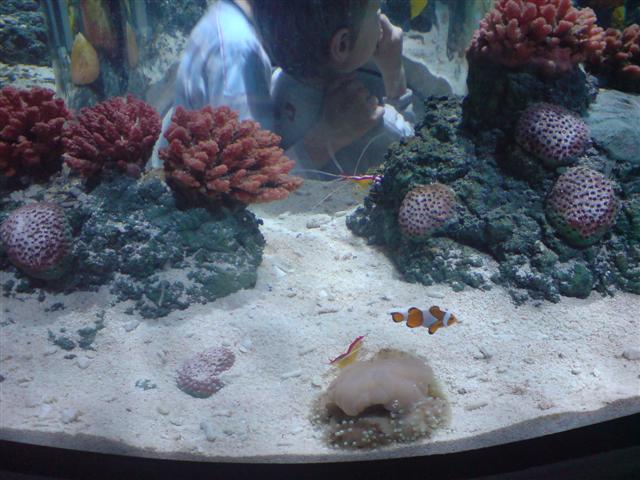 DSC00009 (Small).JPG