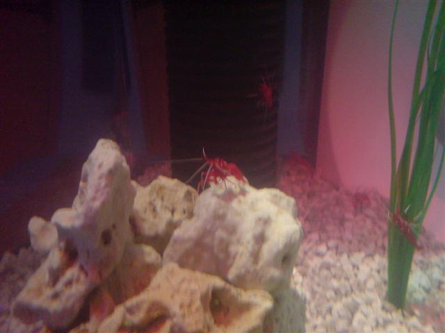 DSC00010 (Small).JPG