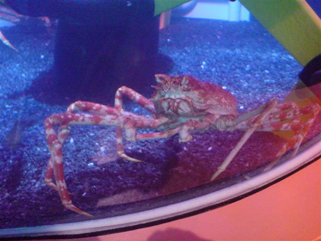 DSC00011 (Small).JPG