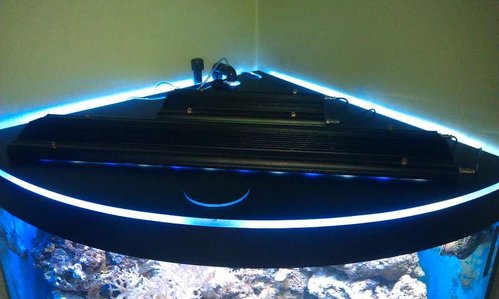 IMAG0780.jpg