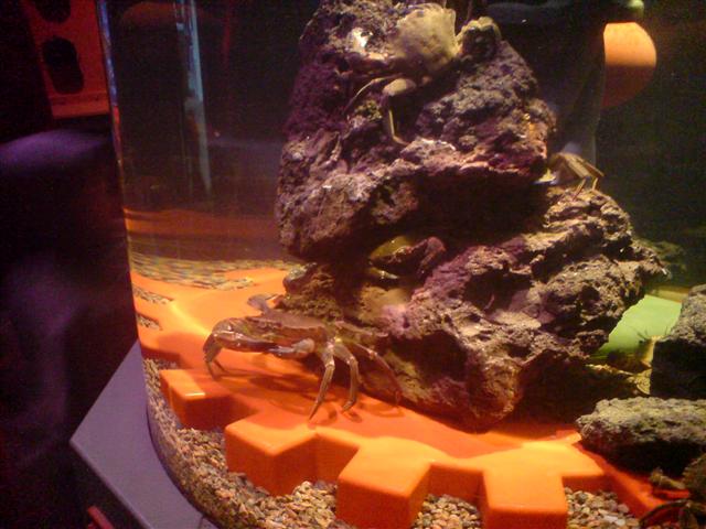 DSC00014 (Small).JPG