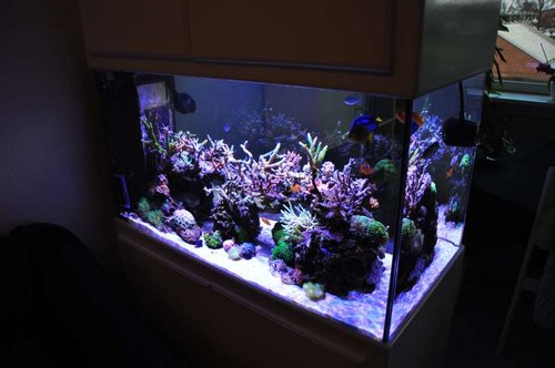 FTS