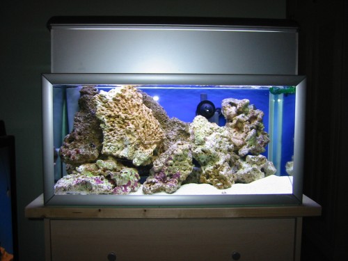 akvarie.jpg