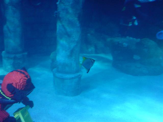 DSC00033 (Small).JPG
