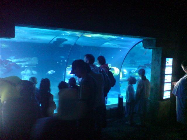 DSC00035 (Small).JPG