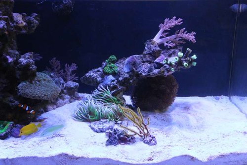 IMG_6464.JPG
