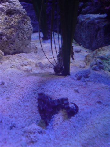 DSC00038 (Small).JPG