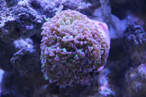 IMG_6432.JPG