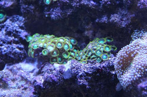 IMG_6430.JPG