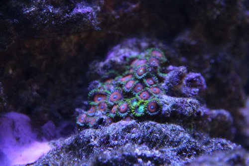 IMG_6427.JPG