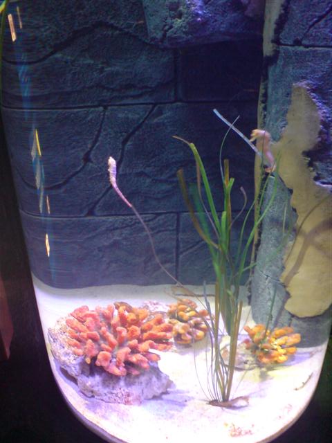 DSC00042 (Small).JPG