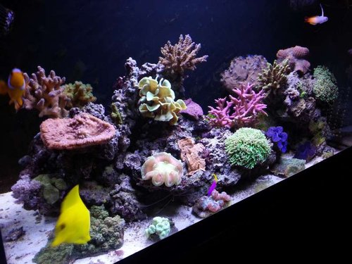 20130415_210715.jpg