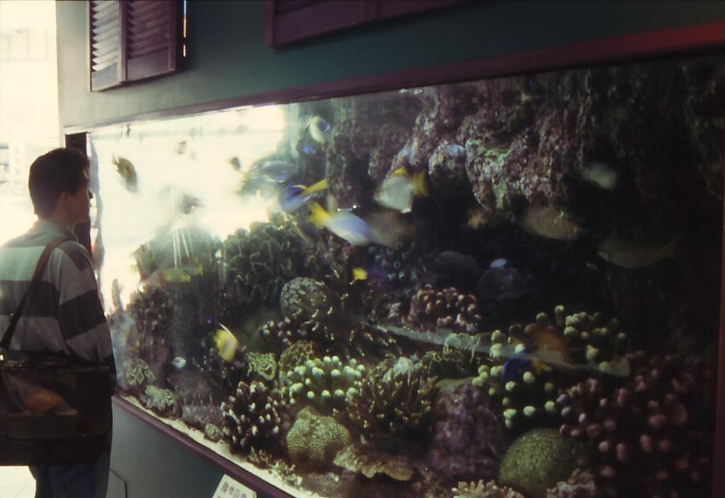 akvariebutik1.jpg