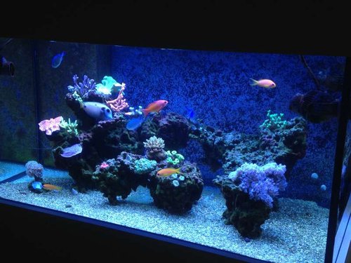 image.jpg (58.9 KiB) Vist 1430 gange 9/5-13