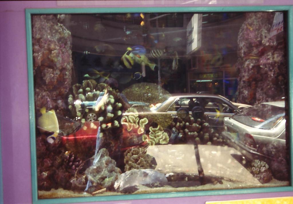 akvariebutik.JPG
