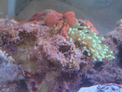 2013-05-10 15.42.25.jpg