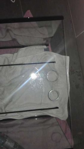 2013-05-12 19.30.55.jpg