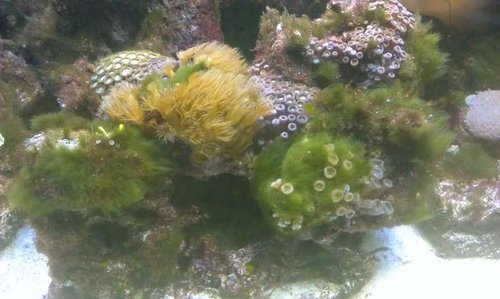 IMAG0864.jpg