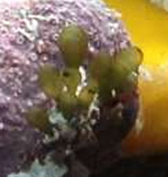 test.jpg