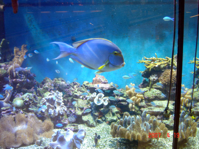 DSC05666sf.jpg