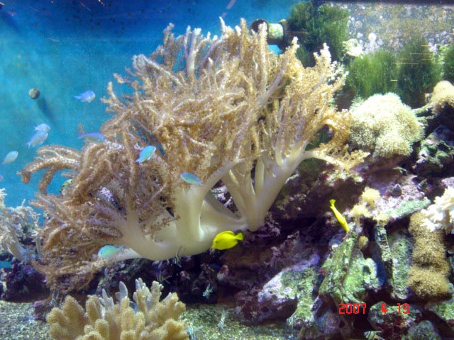 DSC05668sf.jpg