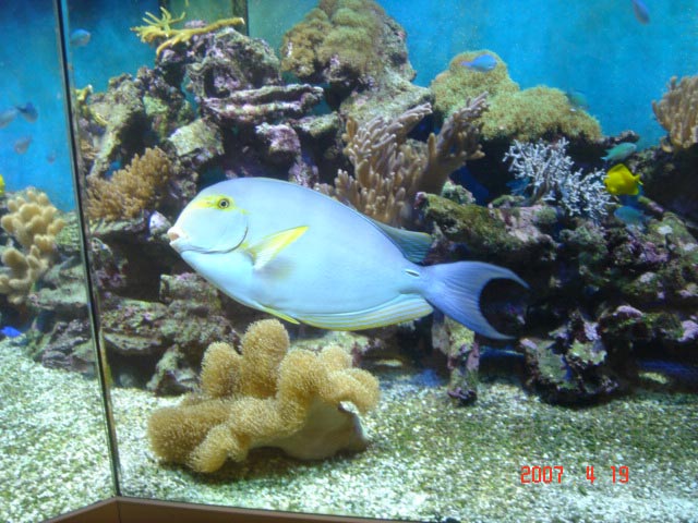 DSC05680sf.jpg