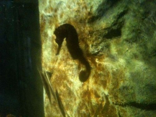 IMG_1612.JPG