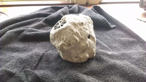 IMAG0450.jpg
