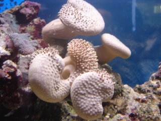 DSC04201.JPG