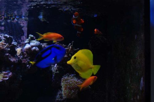 DSC_1345.JPG