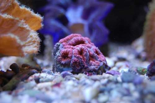 DSC_1353.JPG