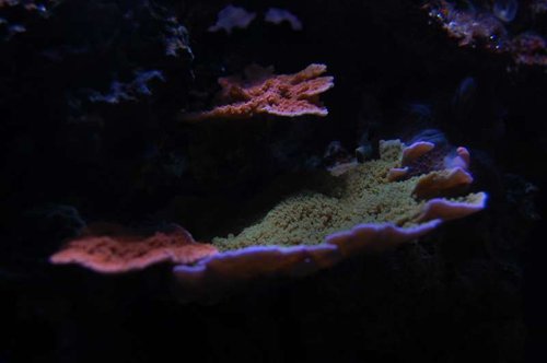 DSC_1358.JPG