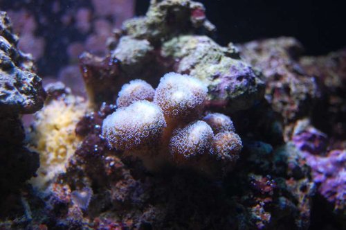 DSC_1361.JPG
