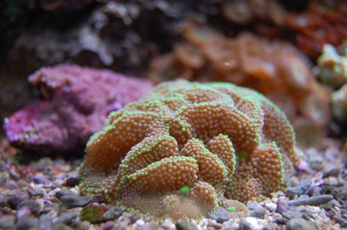 DSC_1363.JPG
