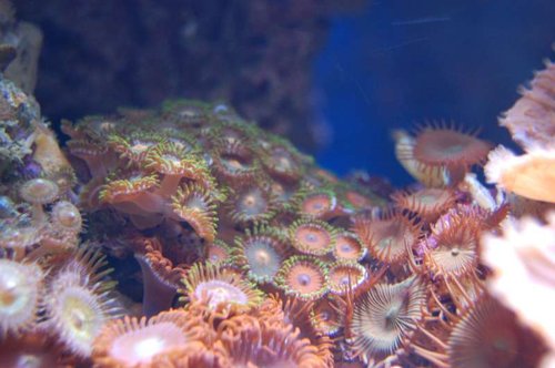 DSC_1365.JPG