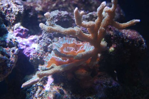 DSC_1367.JPG