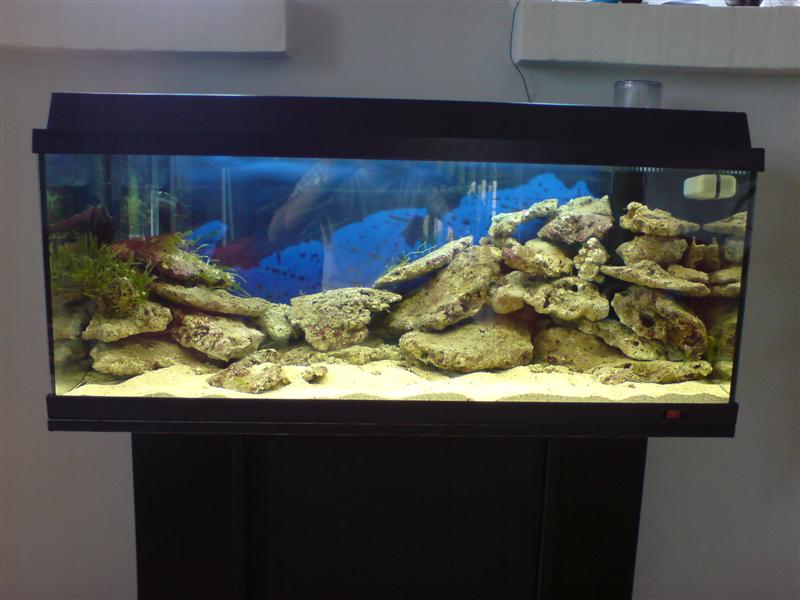 DSC00044 (Medium).JPG