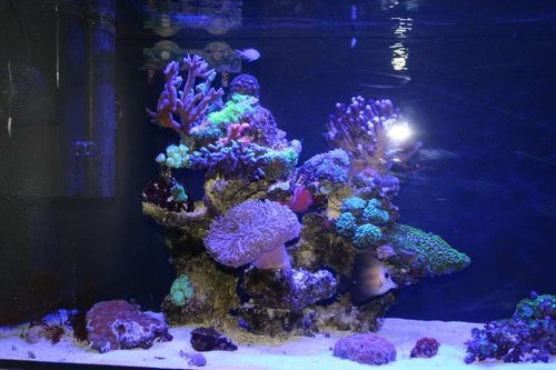 IMG_6351.JPG