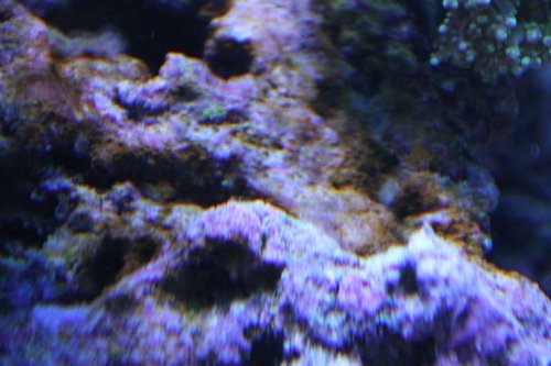 IMG_0176.JPG