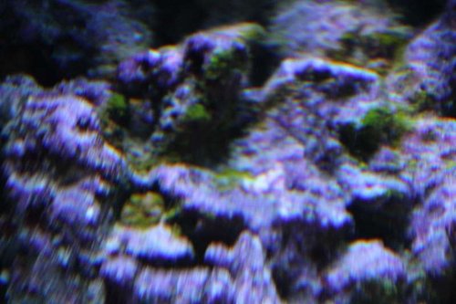 IMG_0177.JPG