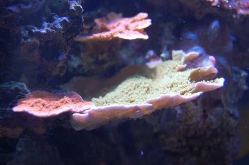 DSC_1355.JPG